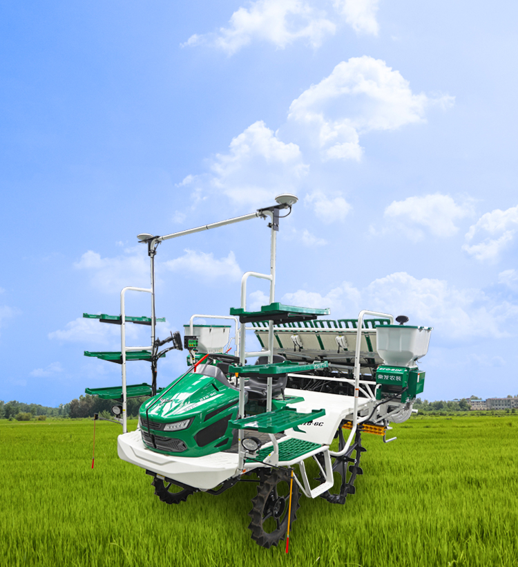 img of cate in index