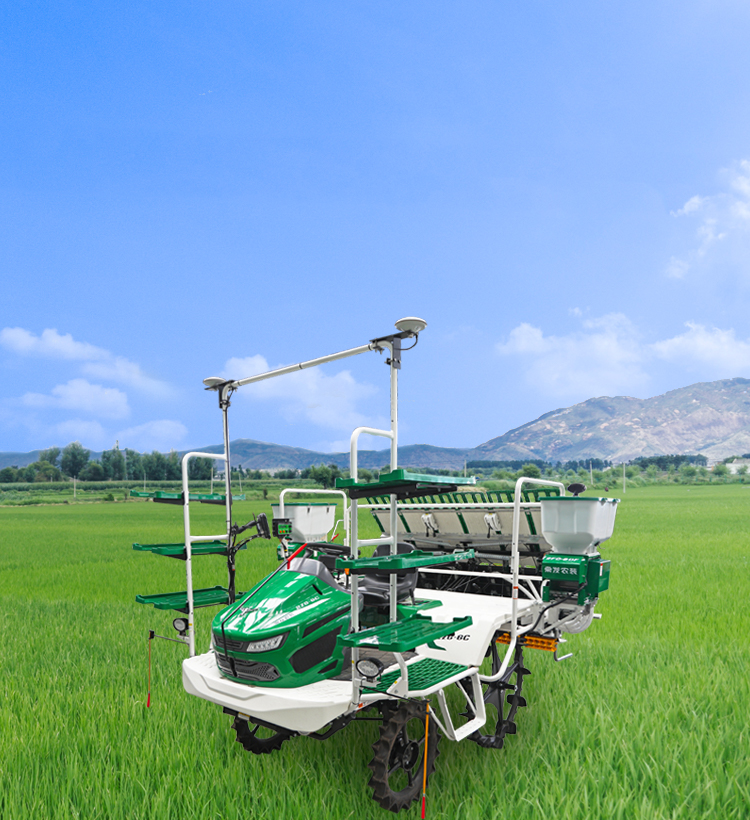 img1 of cate in cate