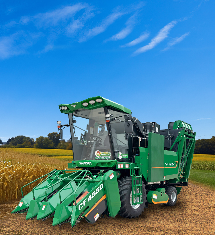 img2 of cate in cate