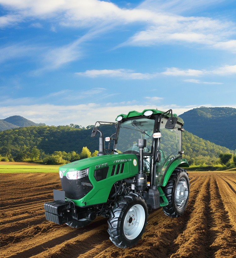 img2 of cate in cate