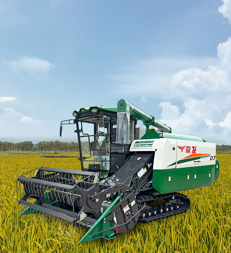 img1 of cate in cate